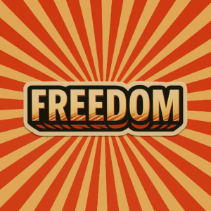 Stickers engagés FREEDOM STANDING, visuel Freedom to Lead Shepard Fairey, pack de 6 tailles, vinyle résistant, design militant
